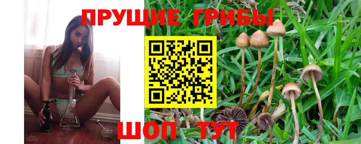 Псилоцибиновые грибы MAGIC MUSHROOMS  Вход с VPN  Ступино 
