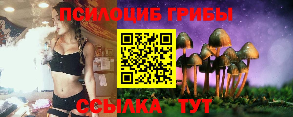 Галлюциногенные грибы Psilocybine cubensis Ступино